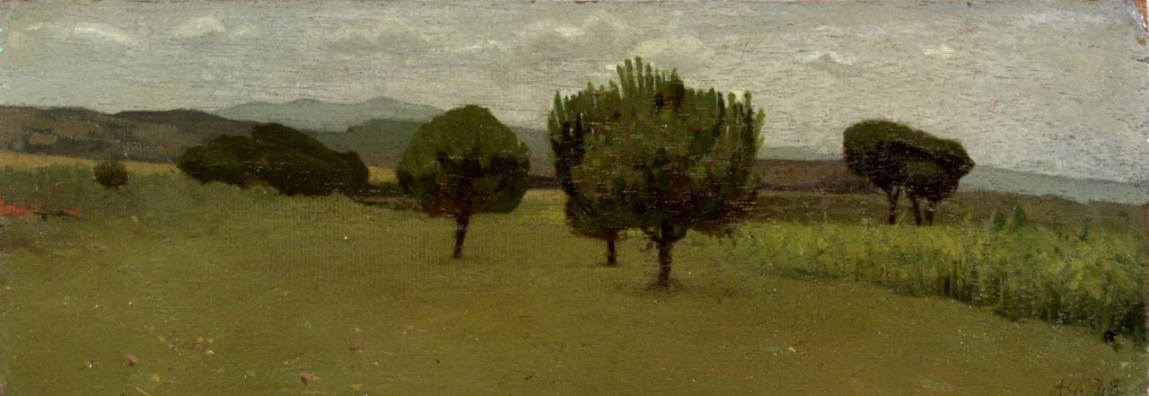 Castiglioncello. paesaggio con alberi - Palazzo Pitti
